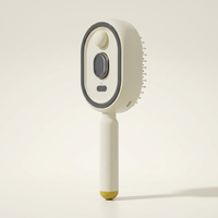 Electric Spray Massage Hair Comb